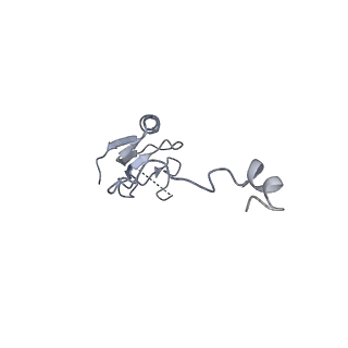 34867_8hl2_L15P_v1-0
Cryo-EM Structures and Translocation Mechanism of Crenarchaeota Ribosome