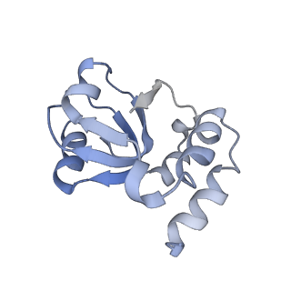 34867_8hl2_L18E_v1-0
Cryo-EM Structures and Translocation Mechanism of Crenarchaeota Ribosome