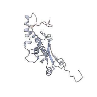 34867_8hl2_L18P_v1-0
Cryo-EM Structures and Translocation Mechanism of Crenarchaeota Ribosome