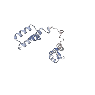 34867_8hl2_L19E_v1-0
Cryo-EM Structures and Translocation Mechanism of Crenarchaeota Ribosome