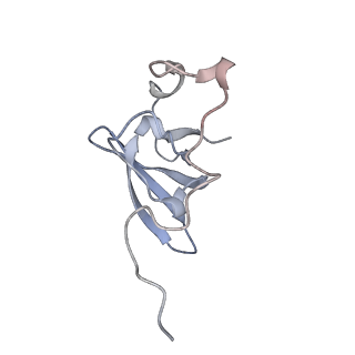34867_8hl2_L21E_v1-0
Cryo-EM Structures and Translocation Mechanism of Crenarchaeota Ribosome