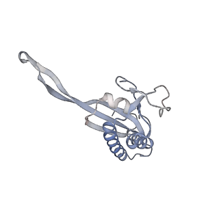 34867_8hl2_L22P_v1-0
Cryo-EM Structures and Translocation Mechanism of Crenarchaeota Ribosome