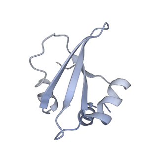 34867_8hl2_L23P_v1-0
Cryo-EM Structures and Translocation Mechanism of Crenarchaeota Ribosome