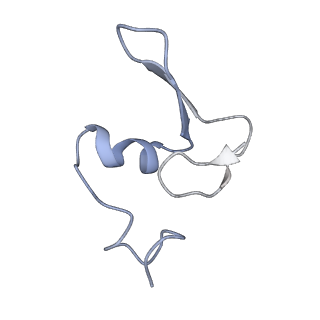 34867_8hl2_L24E_v1-0
Cryo-EM Structures and Translocation Mechanism of Crenarchaeota Ribosome
