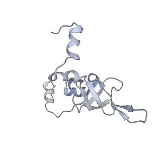 34867_8hl2_L24P_v1-0
Cryo-EM Structures and Translocation Mechanism of Crenarchaeota Ribosome