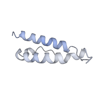 34867_8hl2_L29P_v1-0
Cryo-EM Structures and Translocation Mechanism of Crenarchaeota Ribosome