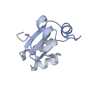 34867_8hl2_L30E_v1-0
Cryo-EM Structures and Translocation Mechanism of Crenarchaeota Ribosome