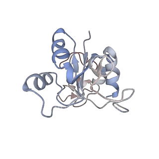 34867_8hl2_L30P_v1-0
Cryo-EM Structures and Translocation Mechanism of Crenarchaeota Ribosome