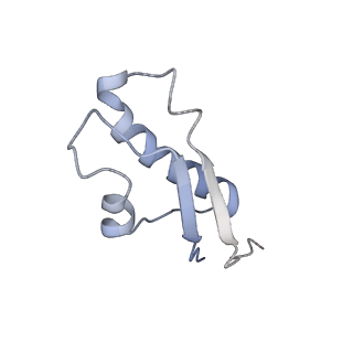 34867_8hl2_L31E_v1-0
Cryo-EM Structures and Translocation Mechanism of Crenarchaeota Ribosome