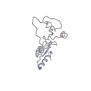 34867_8hl2_L32E_v1-0
Cryo-EM Structures and Translocation Mechanism of Crenarchaeota Ribosome