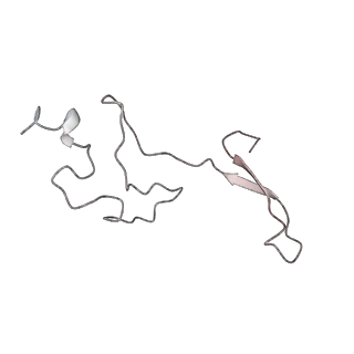 34867_8hl2_L34E_v1-0
Cryo-EM Structures and Translocation Mechanism of Crenarchaeota Ribosome