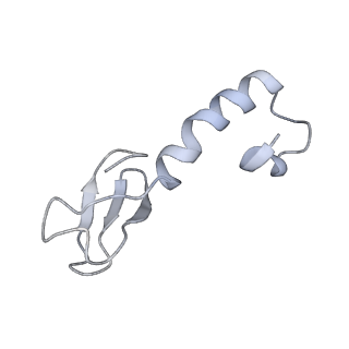 34867_8hl2_L37A_v1-0
Cryo-EM Structures and Translocation Mechanism of Crenarchaeota Ribosome
