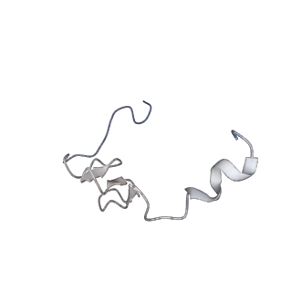 34867_8hl2_L37E_v1-0
Cryo-EM Structures and Translocation Mechanism of Crenarchaeota Ribosome