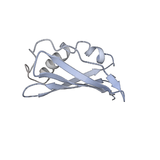 34867_8hl2_L45A_v1-0
Cryo-EM Structures and Translocation Mechanism of Crenarchaeota Ribosome