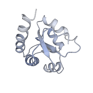 34867_8hl2_L7A1_v1-0
Cryo-EM Structures and Translocation Mechanism of Crenarchaeota Ribosome