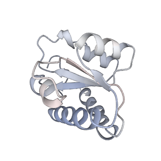34867_8hl2_L7A2_v1-0
Cryo-EM Structures and Translocation Mechanism of Crenarchaeota Ribosome