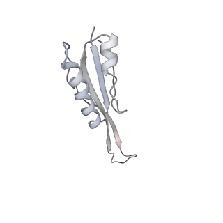 34867_8hl2_S10P_v1-0
Cryo-EM Structures and Translocation Mechanism of Crenarchaeota Ribosome