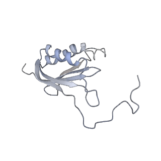 34867_8hl2_S11P_v1-0
Cryo-EM Structures and Translocation Mechanism of Crenarchaeota Ribosome