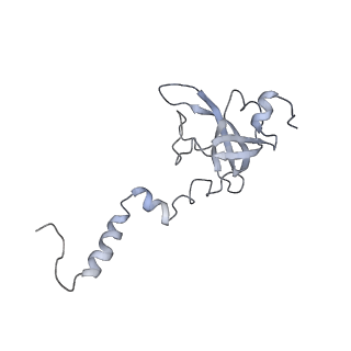 34867_8hl2_S12P_v1-0
Cryo-EM Structures and Translocation Mechanism of Crenarchaeota Ribosome