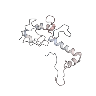 34867_8hl2_S13P_v1-0
Cryo-EM Structures and Translocation Mechanism of Crenarchaeota Ribosome