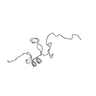 34867_8hl2_S14P_v1-0
Cryo-EM Structures and Translocation Mechanism of Crenarchaeota Ribosome