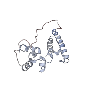 34867_8hl2_S15P_v1-0
Cryo-EM Structures and Translocation Mechanism of Crenarchaeota Ribosome