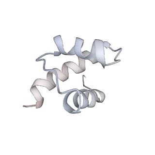 34867_8hl2_S17E_v1-0
Cryo-EM Structures and Translocation Mechanism of Crenarchaeota Ribosome