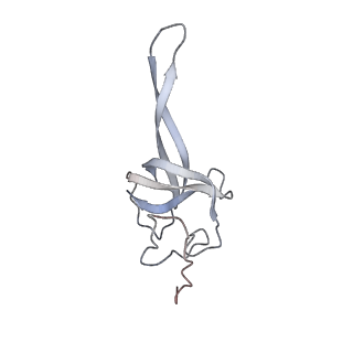 34867_8hl2_S17P_v1-0
Cryo-EM Structures and Translocation Mechanism of Crenarchaeota Ribosome