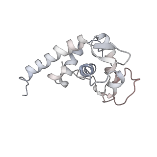 34867_8hl2_S19E_v1-0
Cryo-EM Structures and Translocation Mechanism of Crenarchaeota Ribosome