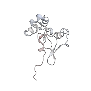 34867_8hl2_S19P_v1-0
Cryo-EM Structures and Translocation Mechanism of Crenarchaeota Ribosome