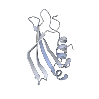34867_8hl2_S24E_v1-0
Cryo-EM Structures and Translocation Mechanism of Crenarchaeota Ribosome