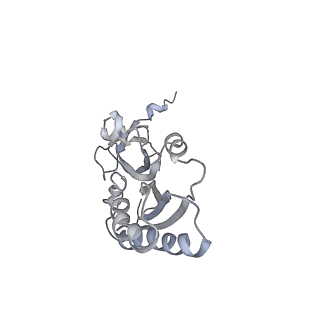 34867_8hl2_S3AE_v1-0
Cryo-EM Structures and Translocation Mechanism of Crenarchaeota Ribosome