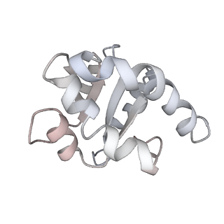 34867_8hl2_SL7A_v1-0
Cryo-EM Structures and Translocation Mechanism of Crenarchaeota Ribosome