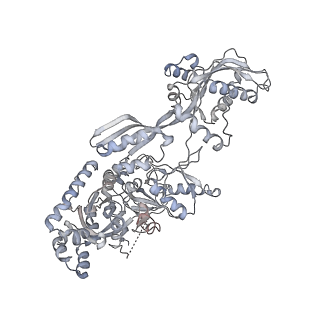 34868_8hl3_AEFG_v1-0
Cryo-EM Structures and Translocation Mechanism of Crenarchaeota Ribosome