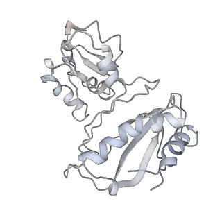 34868_8hl3_AL1P_v1-0
Cryo-EM Structures and Translocation Mechanism of Crenarchaeota Ribosome