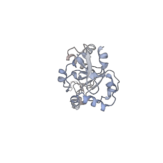 34868_8hl3_AL4P_v1-0
Cryo-EM Structures and Translocation Mechanism of Crenarchaeota Ribosome