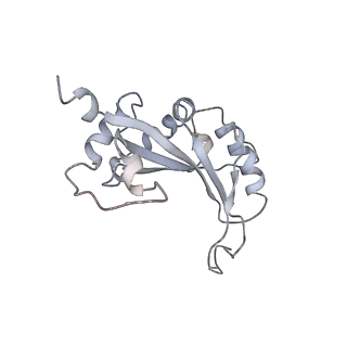 34868_8hl3_AL5P_v1-0
Cryo-EM Structures and Translocation Mechanism of Crenarchaeota Ribosome