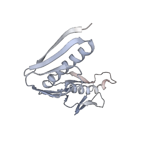 34868_8hl3_AL6P_v1-0
Cryo-EM Structures and Translocation Mechanism of Crenarchaeota Ribosome