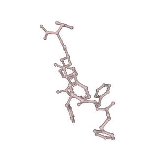 34868_8hl3_APTP_v1-0
Cryo-EM Structures and Translocation Mechanism of Crenarchaeota Ribosome