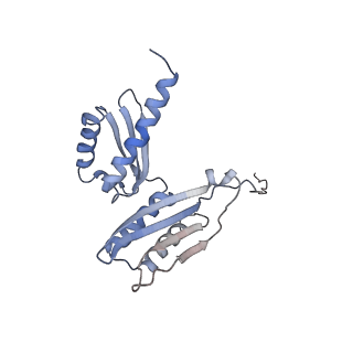 34868_8hl3_AS3P_v1-0
Cryo-EM Structures and Translocation Mechanism of Crenarchaeota Ribosome