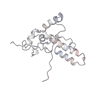 34868_8hl3_AS4P_v1-0
Cryo-EM Structures and Translocation Mechanism of Crenarchaeota Ribosome