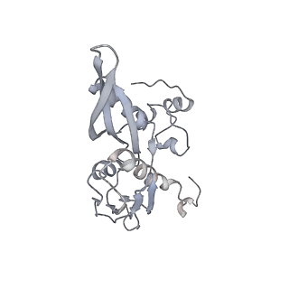 34868_8hl3_AS5P_v1-0
Cryo-EM Structures and Translocation Mechanism of Crenarchaeota Ribosome