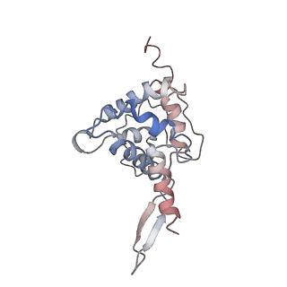 34868_8hl3_AS7P_v1-0
Cryo-EM Structures and Translocation Mechanism of Crenarchaeota Ribosome