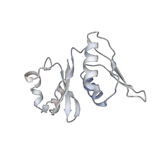34868_8hl3_AS8P_v1-0
Cryo-EM Structures and Translocation Mechanism of Crenarchaeota Ribosome