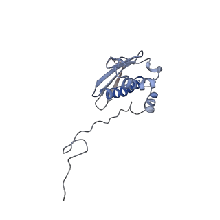 34868_8hl3_AS9P_v1-0
Cryo-EM Structures and Translocation Mechanism of Crenarchaeota Ribosome