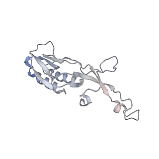 34868_8hl3_L10E_v1-0
Cryo-EM Structures and Translocation Mechanism of Crenarchaeota Ribosome