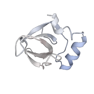 34868_8hl3_L141_v1-0
Cryo-EM Structures and Translocation Mechanism of Crenarchaeota Ribosome