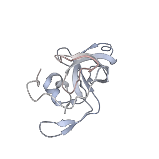 34868_8hl3_L14P_v1-0
Cryo-EM Structures and Translocation Mechanism of Crenarchaeota Ribosome