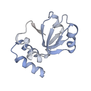 34868_8hl3_L18E_v1-0
Cryo-EM Structures and Translocation Mechanism of Crenarchaeota Ribosome