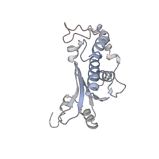 34868_8hl3_L18P_v1-0
Cryo-EM Structures and Translocation Mechanism of Crenarchaeota Ribosome